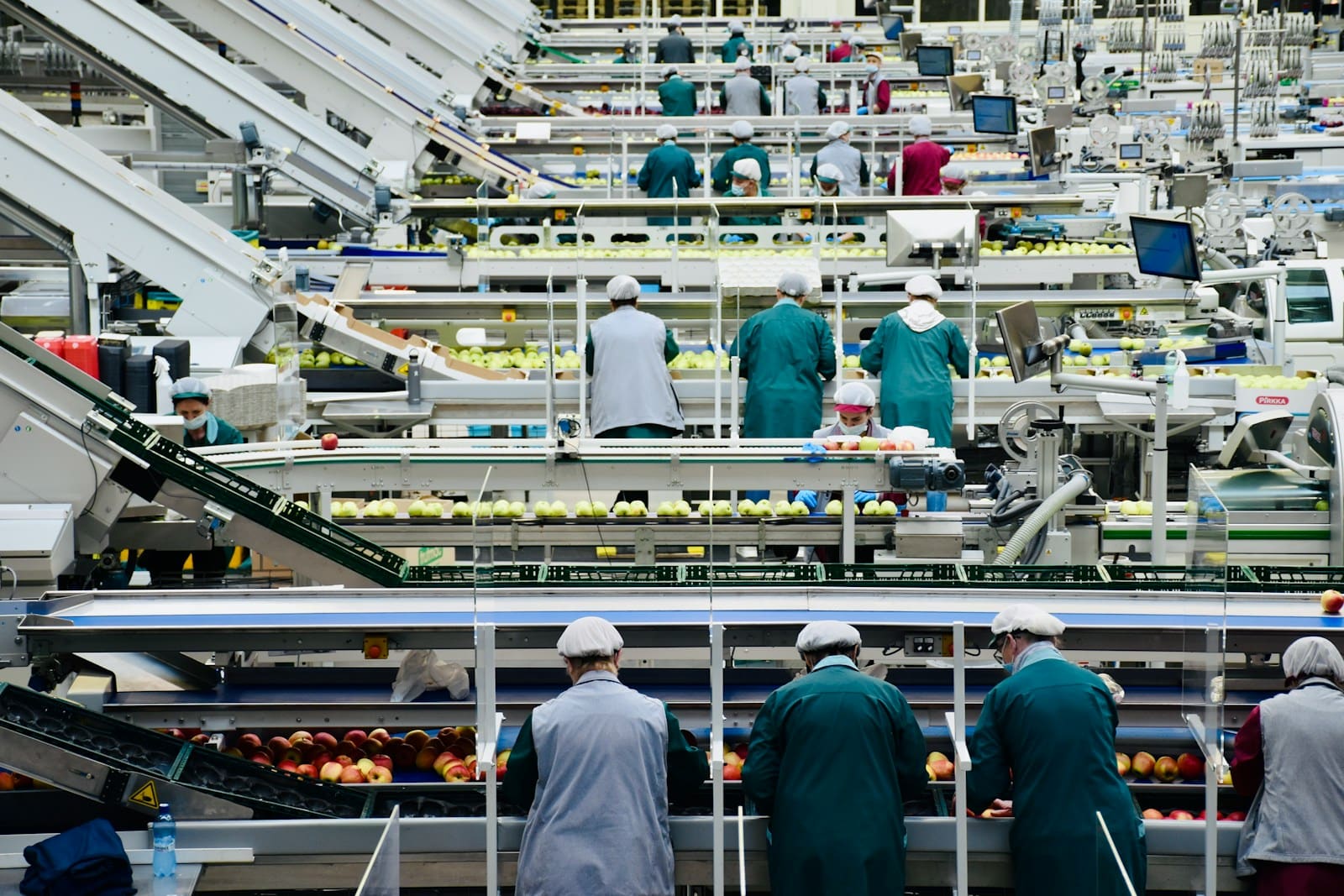 Linha de triagem de fruta numa fábrica agroalimentar, vista de cima